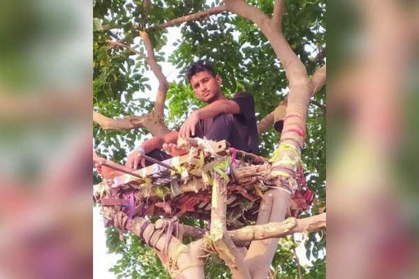 缩略图 | 怕感染家人，印度男子确诊后爬树上，自我隔离11天！