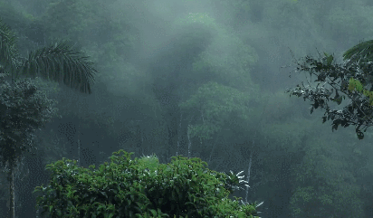 3.gif