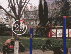 19.gif
