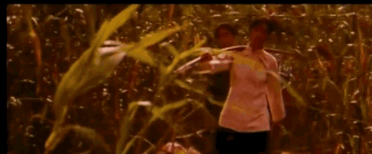 8.gif