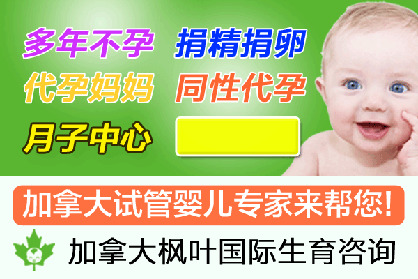 枫叶国际-微信广告.gif