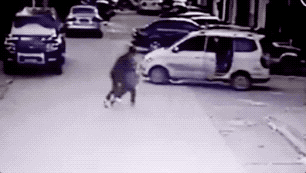 11.gif