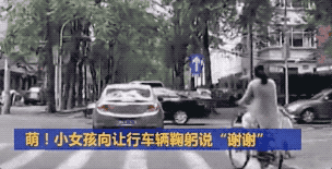 16.gif
