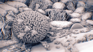 9D4A16DE5B6D9092F358186F4E2BA4209FB6B97E_size5528_w360_h203.gif