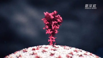 7BB36653E97699E9793C0975FAA56BB970940B89_size1390_w360_h203.gif