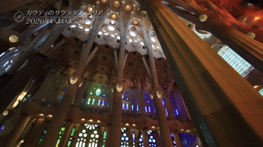 1638785103634767.gif
