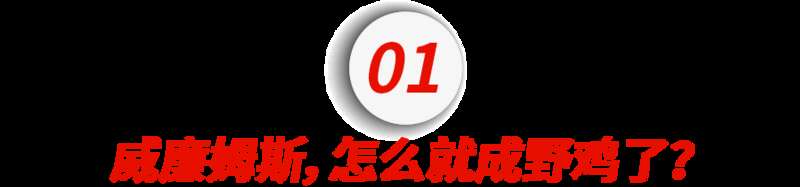 e83d566d4etype_png_size_900_429_end.jpg
