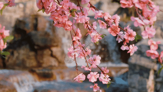 7921.gif_wh300.gif