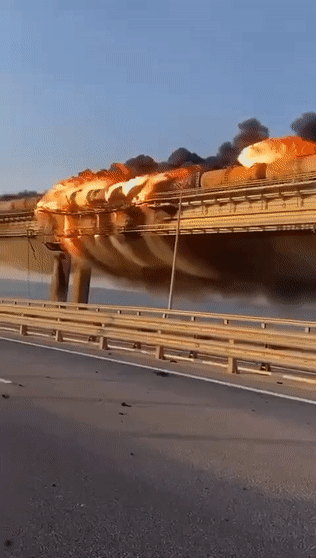 EFFD2D7D0DCA7BDC754487DDEA9826A3BA1B2B7F_size2738_w316_h560.gif