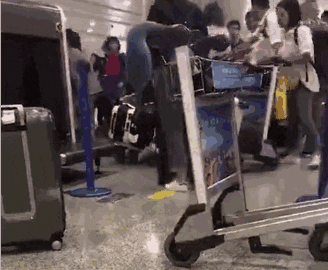 64ec0a902a7e2.gif