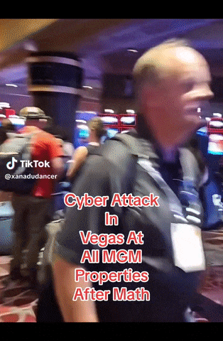 650757565d337.gif