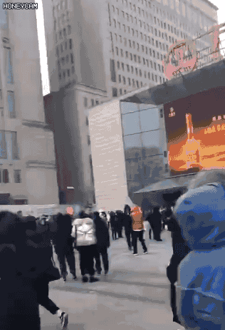 6.gif