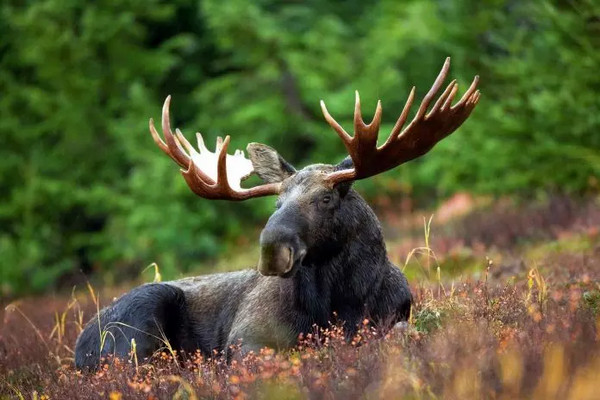 photo.jpg