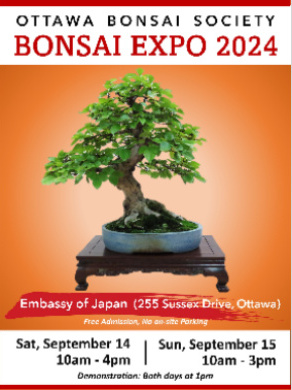 poster-2024-bilingual.jpg