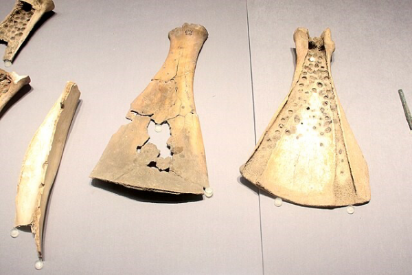 oracle-bones--600x400.png