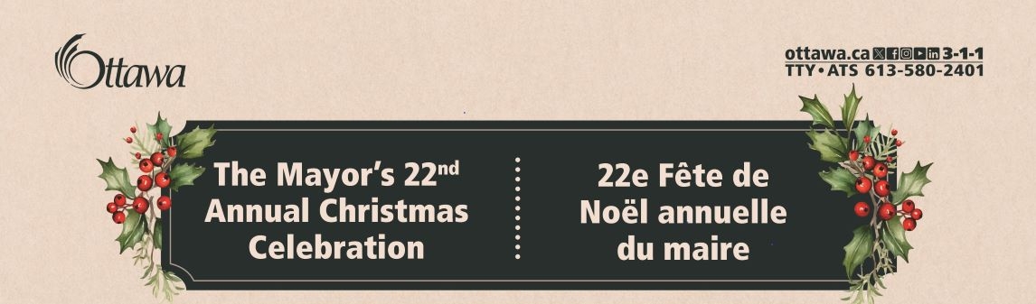 Banner - Christmas webpage 1.jpg