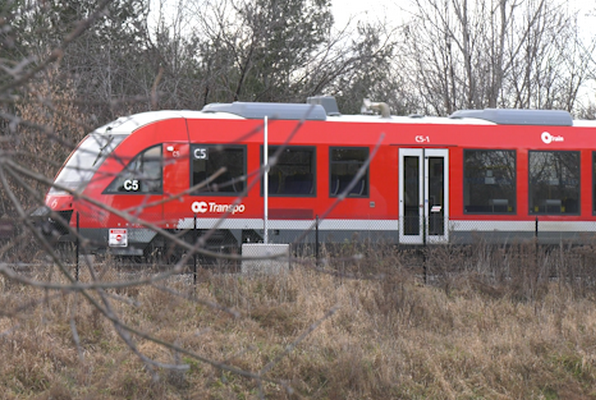 trillium-line-1-7129411-1733001026345.png