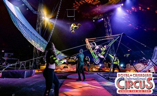 早鸟特惠！加拿大皇家马戏团 Royal Canadian Circus 2025年多伦多8地暑期巡演门票3.2折 15.3加元！