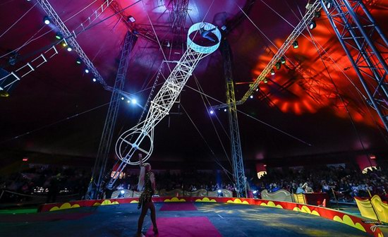 早鸟特惠！加拿大皇家马戏团 Royal Canadian Circus 2025年多伦多8地暑期巡演门票3.2折 15.3加元！