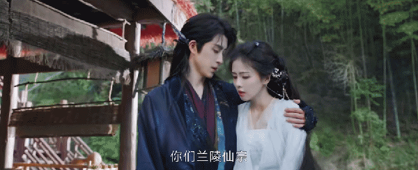 2025_0111_ec8117fdg00spwlad027bd000go006sm.gif