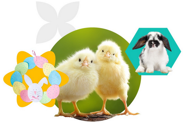 2276-CAFM-Easter-Web-landing-1070x802-1.jpg