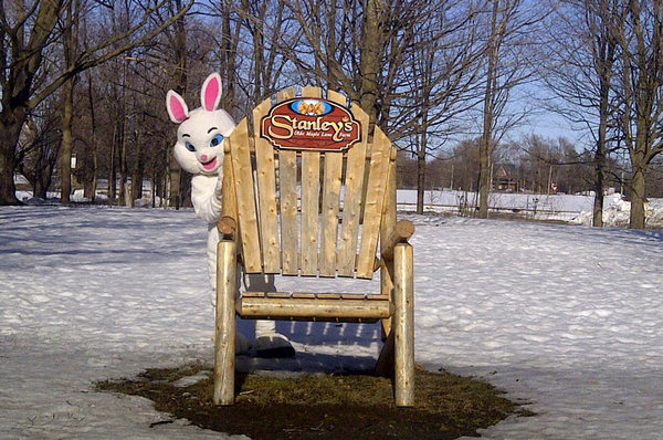 family-fun-easter-bunny.jpg