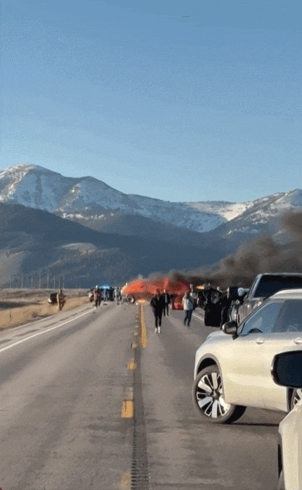6816772ed1344_original.gif