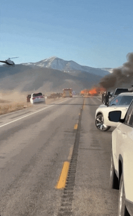 6816772ed3335_original.gif