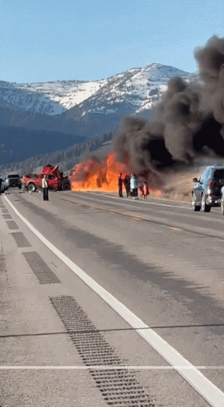 6816772f78138_original.gif