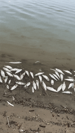 640.gif