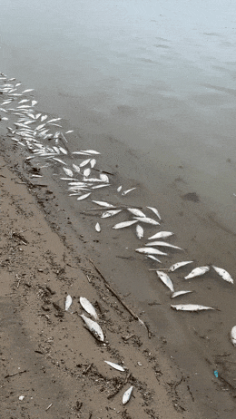 640 (1).gif