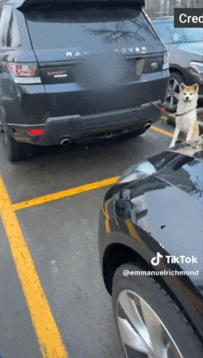 681f775872500.gif