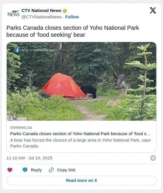68726f317c35f_original.jpeg