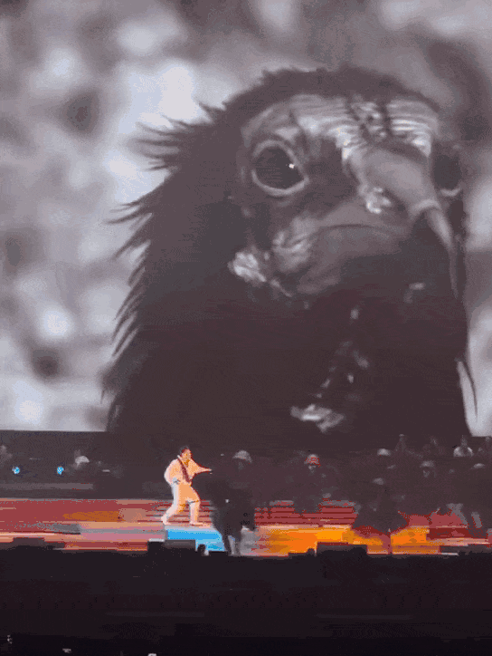 CE0FD39978E9036911C4AC0D9EAACBF1B4C1C133_size4113_w544_h724.gif