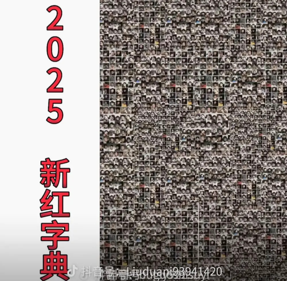 1752839334421515.jpg 581378E7871647D866F6DF18970FB01DFF142ECE_size1333_w1000_h978.jpg