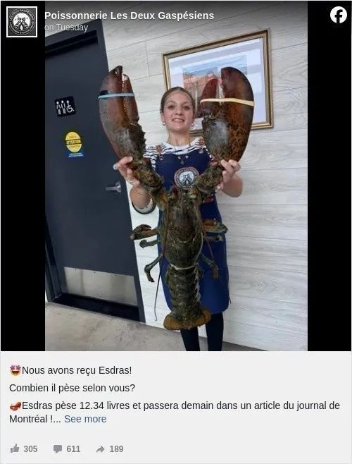 6897a05a5acdf_original.jpeg