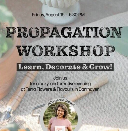 Terra-Workshop-Priscille-Joseph-Medium-633x570.jpeg
