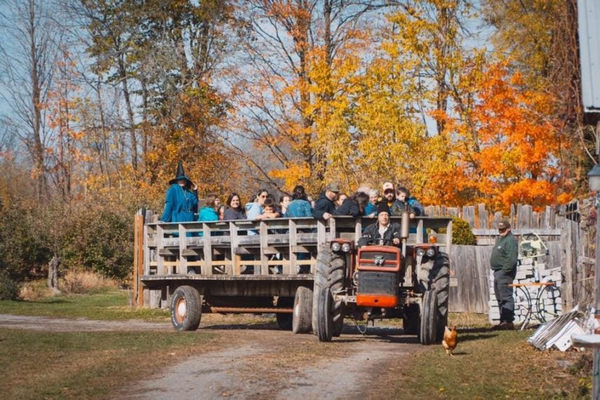 Fall-Fun-at-Cannamore-Orchards-855x570.jpg
