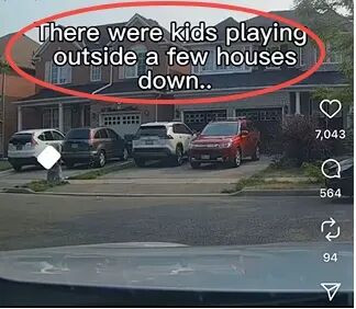 68b45a26ed69b.jpeg