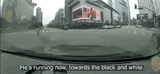 5.gif