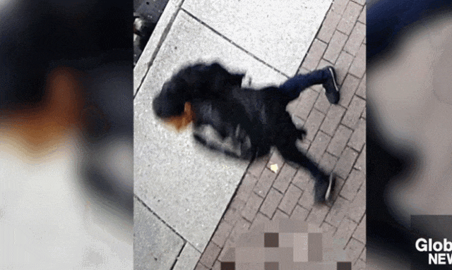 68ee7b8b39821_original.gif