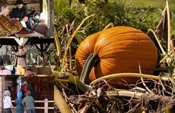 1761340012165269.jpg Halloween-Hijinks-Ottawa-Tourism-template-1-855x554.jpg
