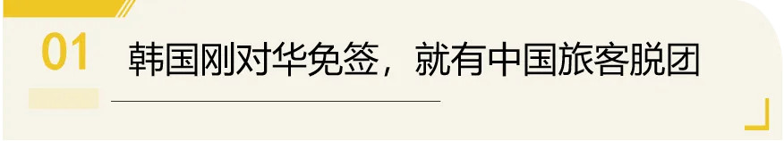 1761409782708588.jpg 1981532393946284032.jpg