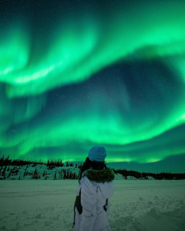 1761426123325170.jpg 640.jpg