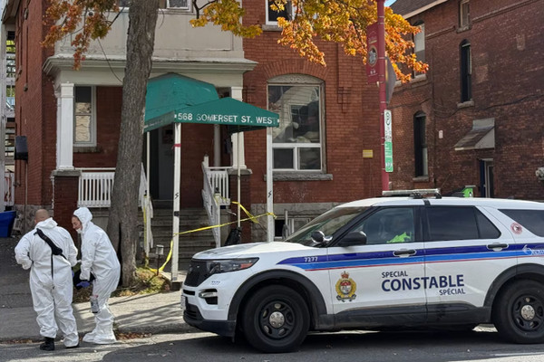 1761599550192151.jpg 2025-10-27_171140.jpg