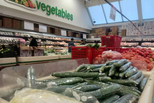 1762295156514735.png 690a46c448e4c_1080.png