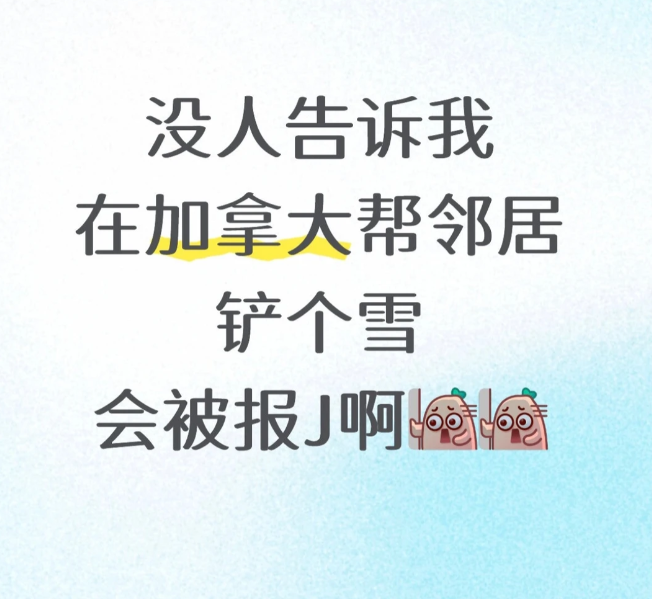 1763952650119283.png 692372c67230c_original.png