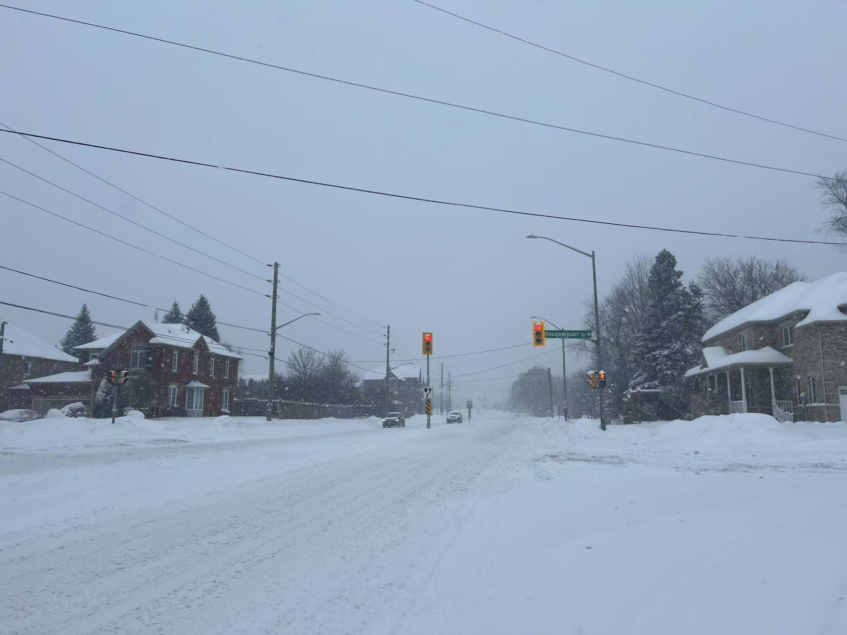 1763952667395006.jpg 69237385850ae_original.jpg