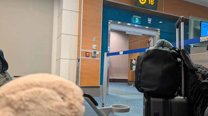 1764249095454119.png 692776e186f39_original.png