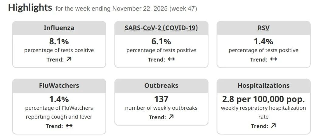 1764523625122686.jpeg 692c5f950a5c6_original.jpeg